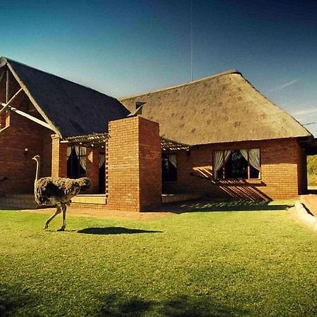 Monateng Safari Lodge Wallmannstal Εξωτερικό φωτογραφία